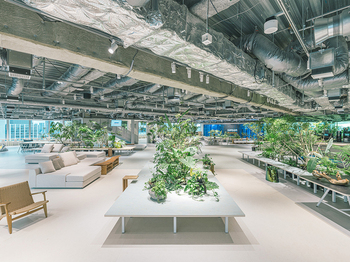 オフィス内フリースペースです。こちらでは来客者と打合せを行ったり、社員同士で打ち合わせや、会話を行うなど、休憩スペースとしても使用されています。